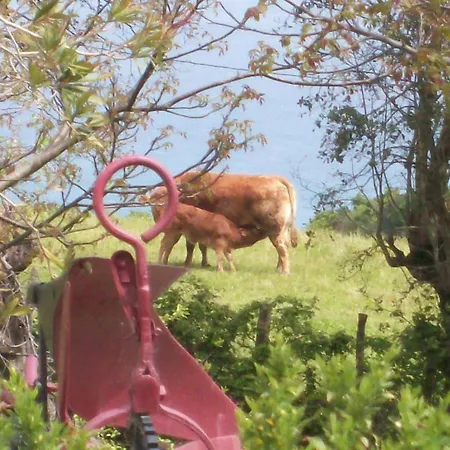 Country house Agroturismo Donibane Itziar