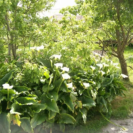 Agroturismo Donibane * Itziar