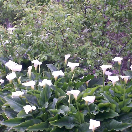 乡村民宿 Agroturismo Donibane