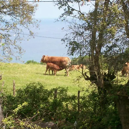 Agroturismo Donibane 乡村民宿