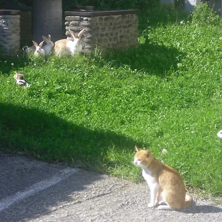 Agroturismo Donibane 乡村民宿 *