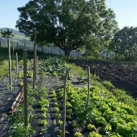 Agroturismo Donibane *